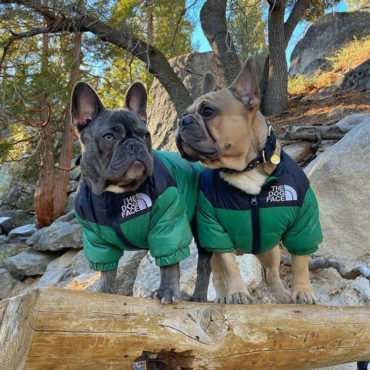 TheDogFace™ Dog Jacket