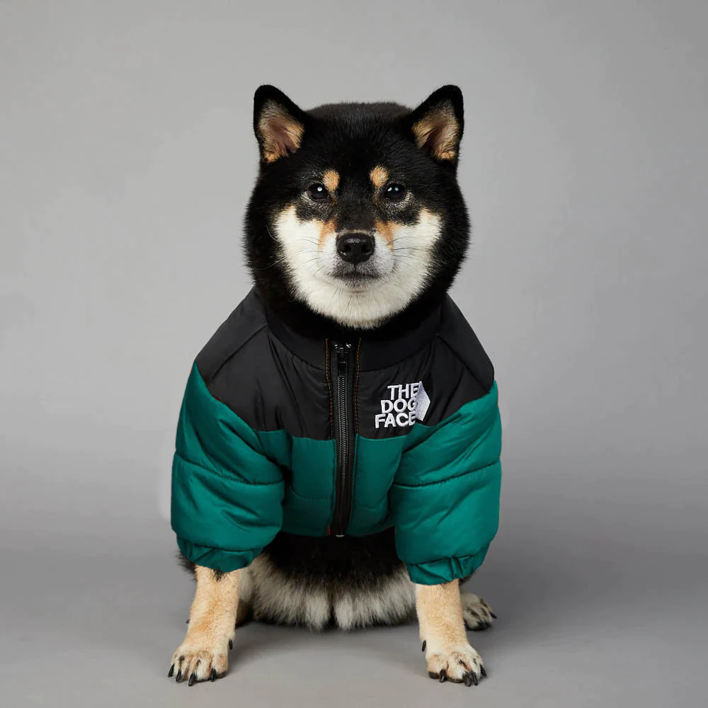 linear-gradient(125deg, rgba(0,0,0,1) 50%, rgba(0,98,74,1) 50%)