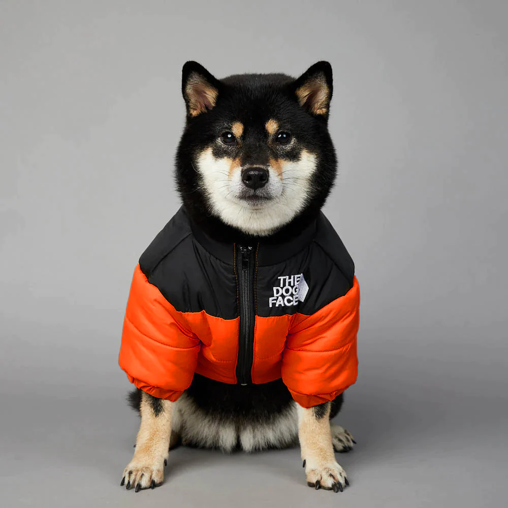 linear-gradient(125deg, rgba(0,0,0,1) 50%, rgba(255,102,0,1) 50%)