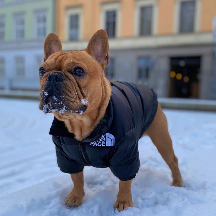 TheDogFace™ Dog Jacket